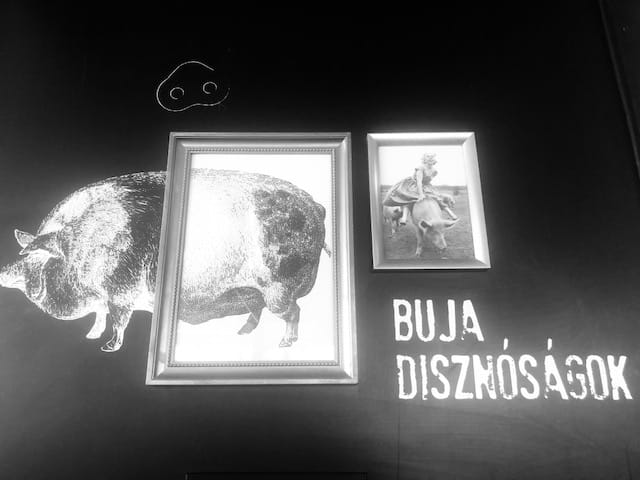 Hasbeszélő: Buja disznóságok
