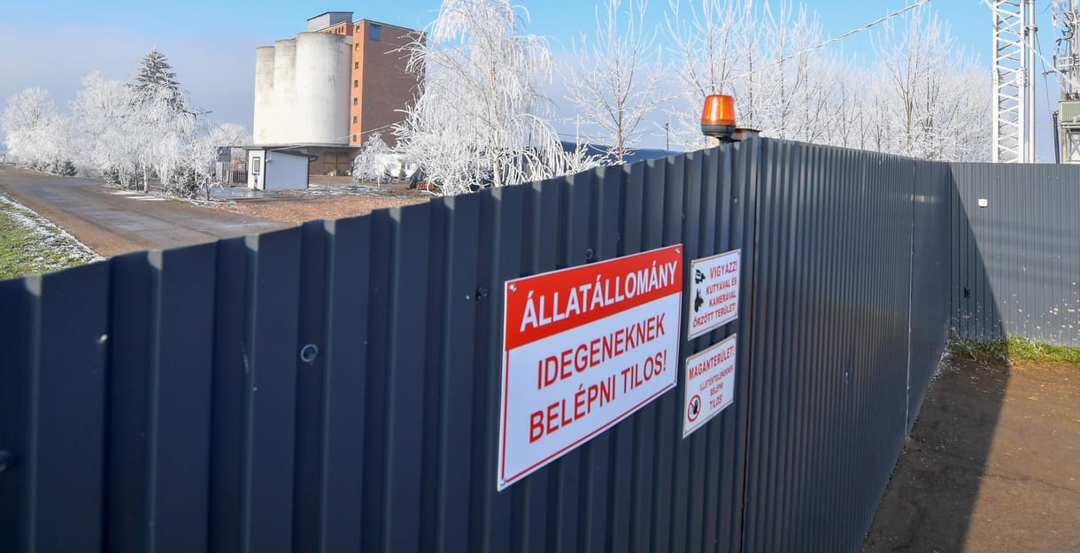 Az egész országban el kell zárni a baromfikat