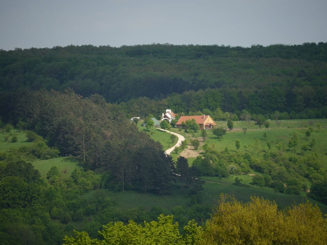 Jutott állami támogatás a Szentgyörgyvölgyi Péter földjén álló lovas panziónak is