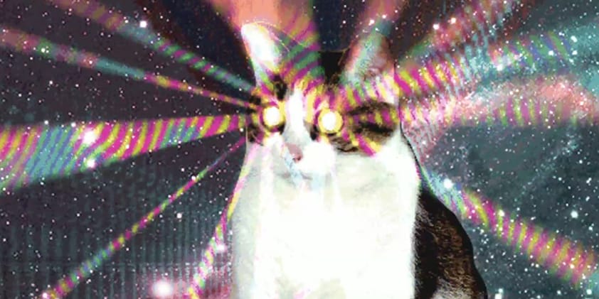 25 éves az animált GIF: íme 25 év 50 másodpercben [videó]