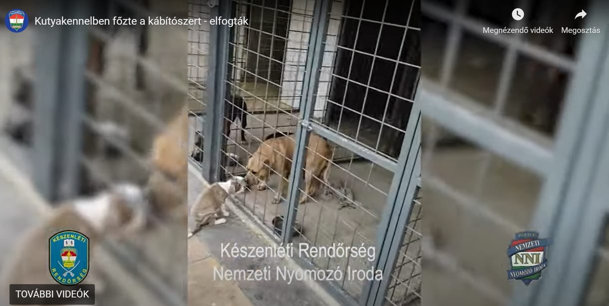 Épp a kutyakennelben locsolta szét az amfetaminos löttyöt, amikor elkapták a rendőrök - videóval