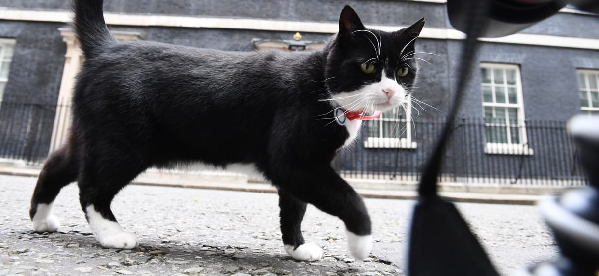 Visszavonul a brit külügy főegerésze