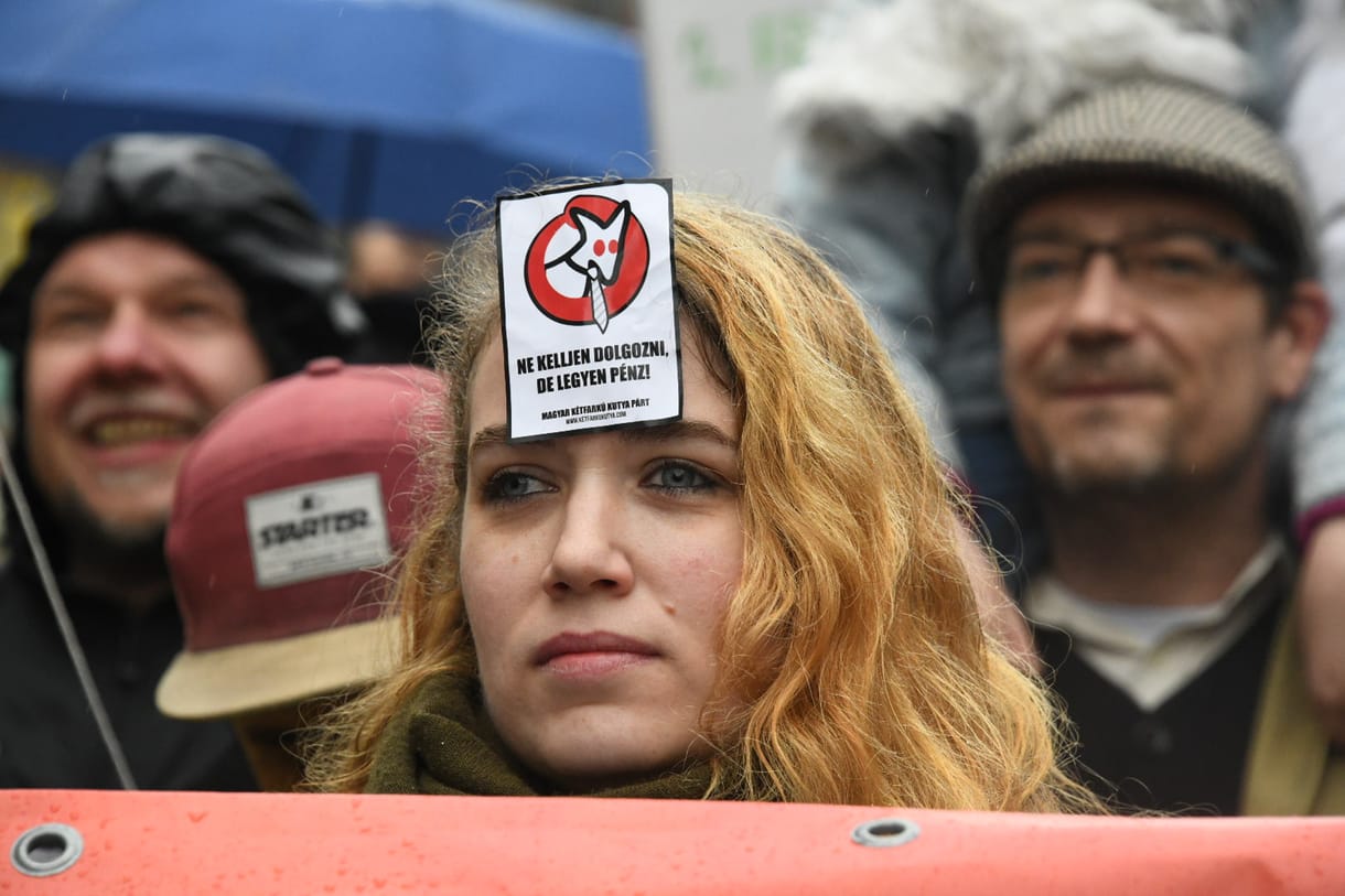 Elnézést kért a kutyapárt, amiért közzétett egy komoly posztot