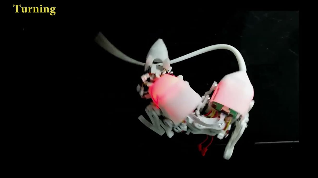 Ez az a kínai robotpatkány, amely akár életet is menthet – videó