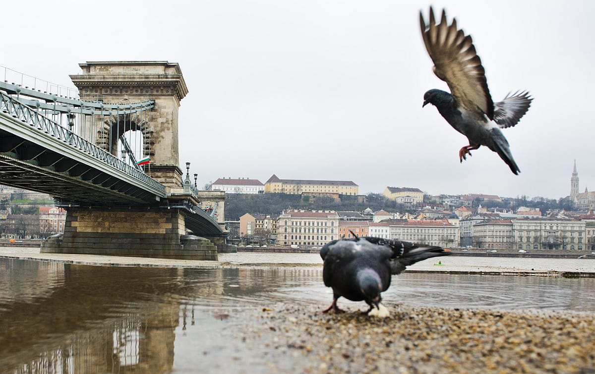 Nem valószínű, hogy elönti az ár a budapesti rakpartokat
