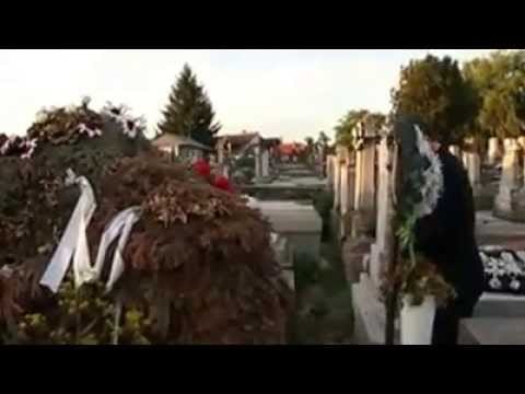 Orbán fehér rózsával emlékezett Bara József sírjánál