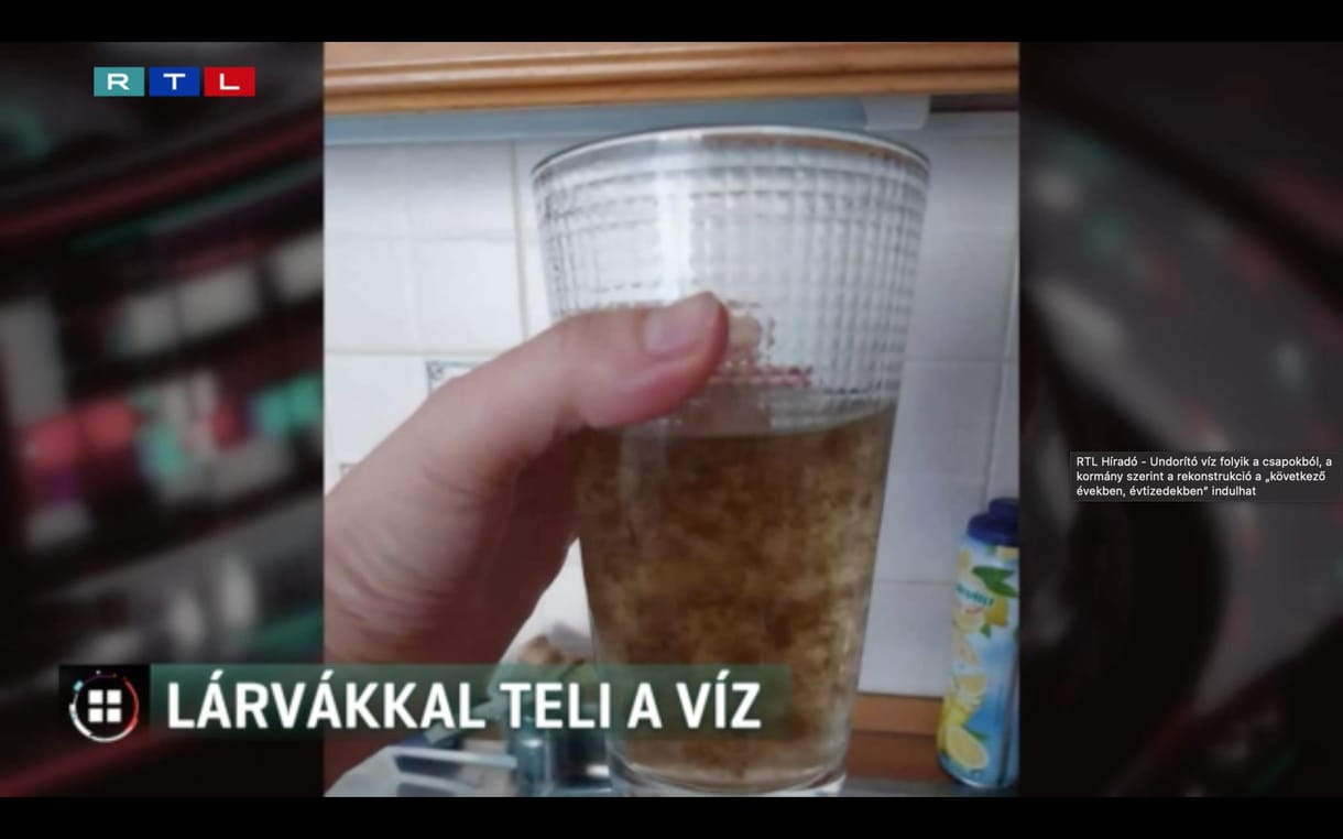 Lárvák és kifejlett kukacok is vannak a rossz minőségű berettyóújfalui ivóvízben