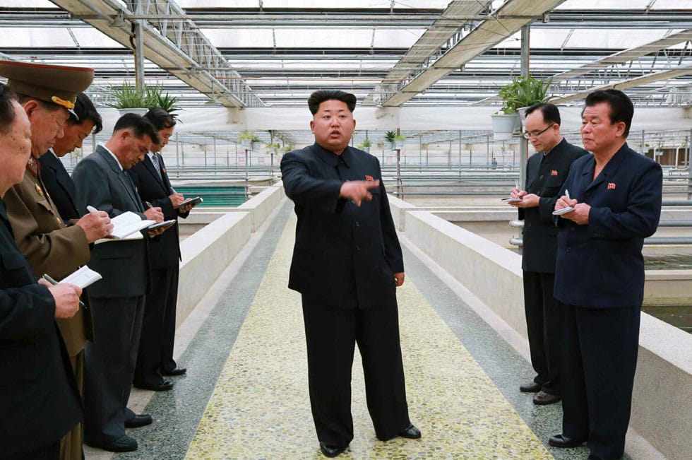 Ékszerteknősfarmon osztotta ki embereit Kim Dzsong Un