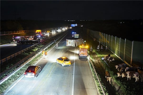 Kiderült, melyik jármű jelenti a legnagyobb veszélyt az utakon