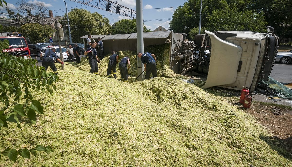 Fotók: kukoricasiló borította be az egyik debreceni főutat