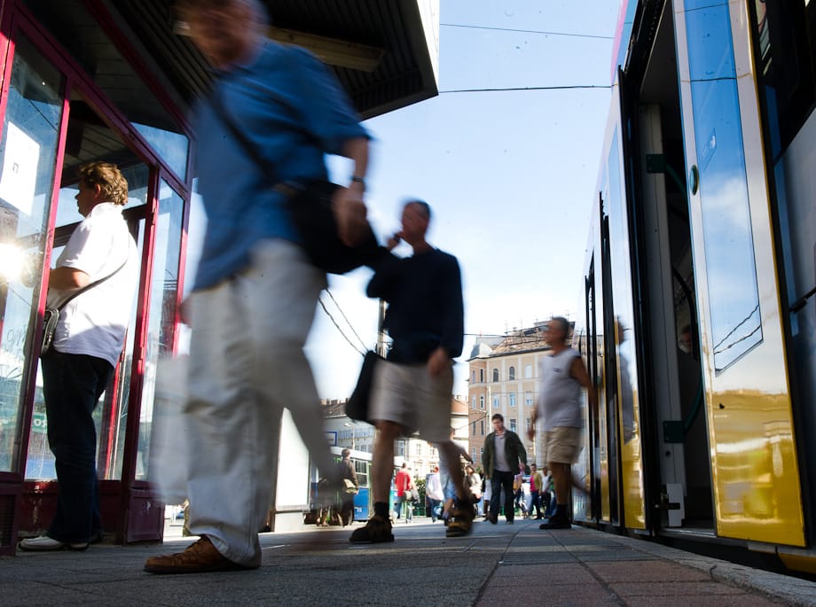 Népszámlálás: utólag írt bele valaki egy budakeszi kérdőívbe