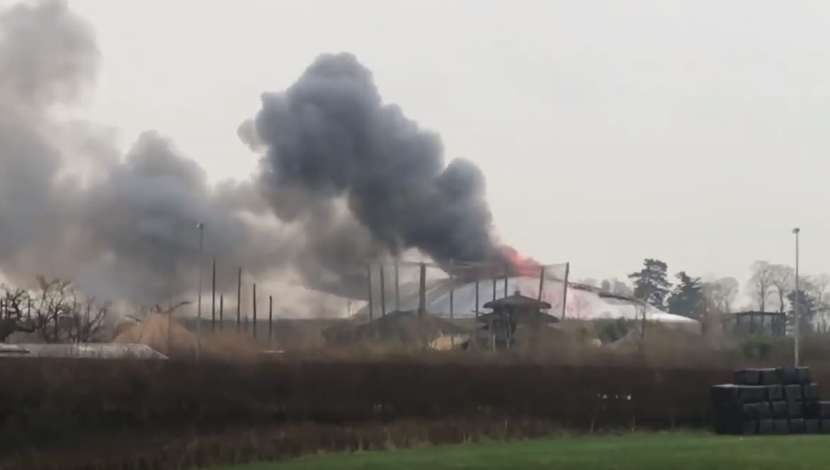 Hatalmas tűz miatt kellett kiüríteni a chesteri állatkertet - videó