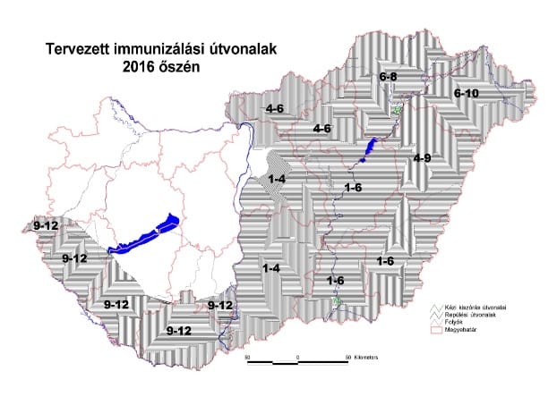 Ne engedje el a kutyáját az ország kétharmadán
