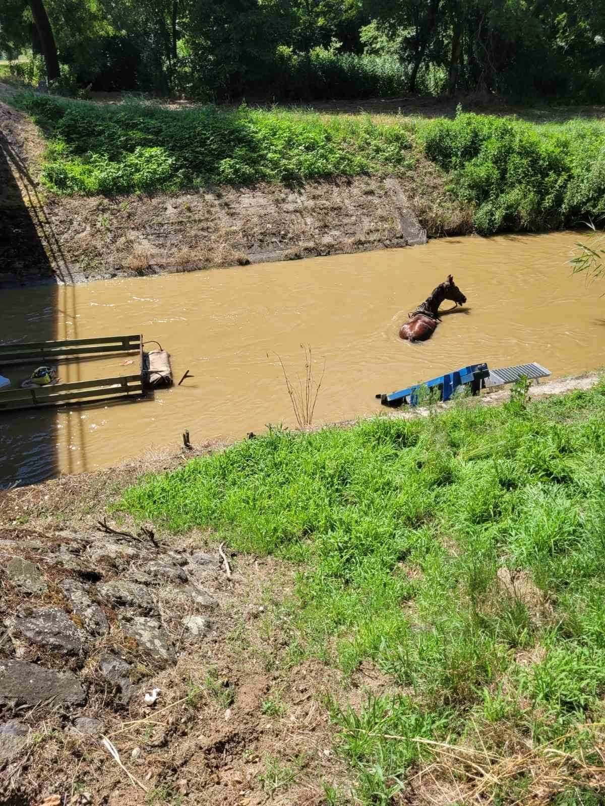 A vízben kötött ki egy lovaskocsi, a répcelaki tűzoltók siettek a lovak segítségére