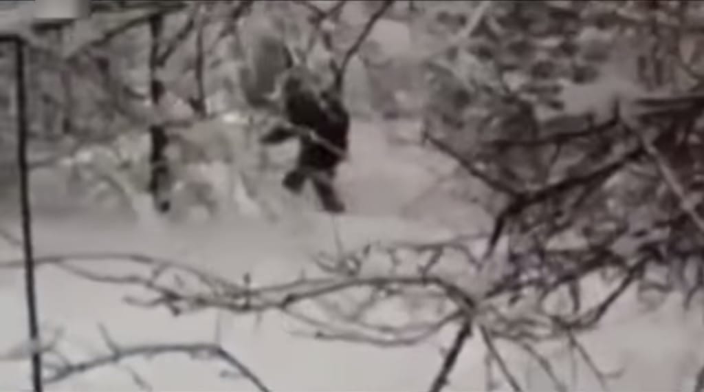 Pánik a síparadicsomban: furcsa foltos állattól rettegnek a síelők