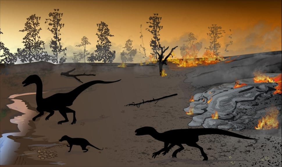 Ritka dinoszaurusz-leletre bukkantak a kínai tudósok