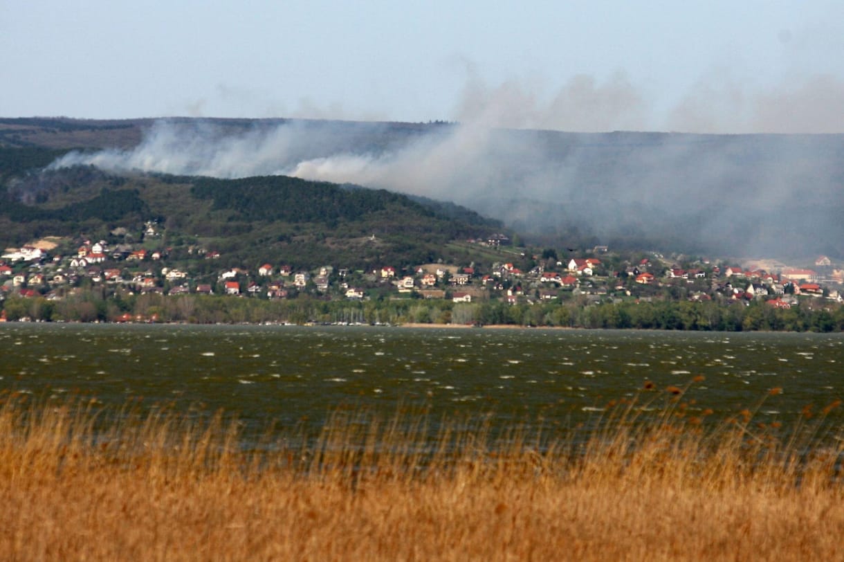 Erdőtűz a Balatonnál: eloltották a lángokat