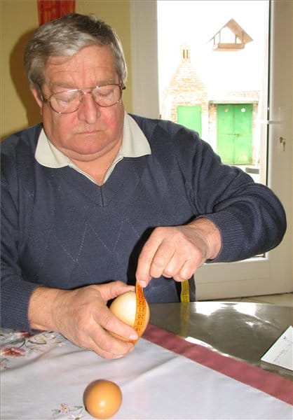 Óriástojás Pakson