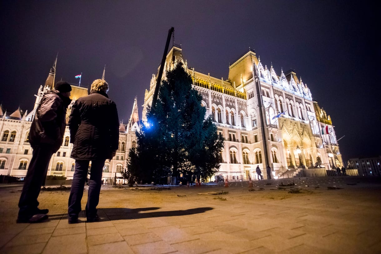 Ma érkezik meg a Kossuth térre az ország karácsonyfája
