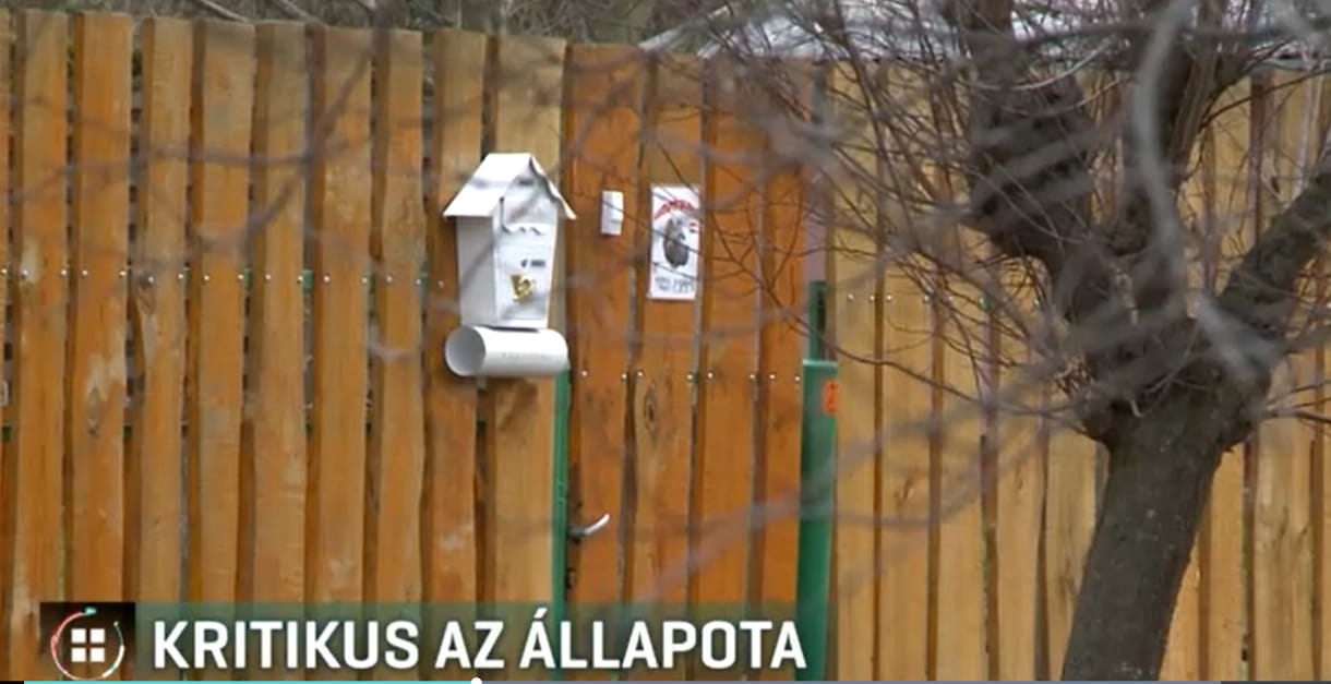 Kritikus az állapota a férfinak, akire két kutya támadt rá