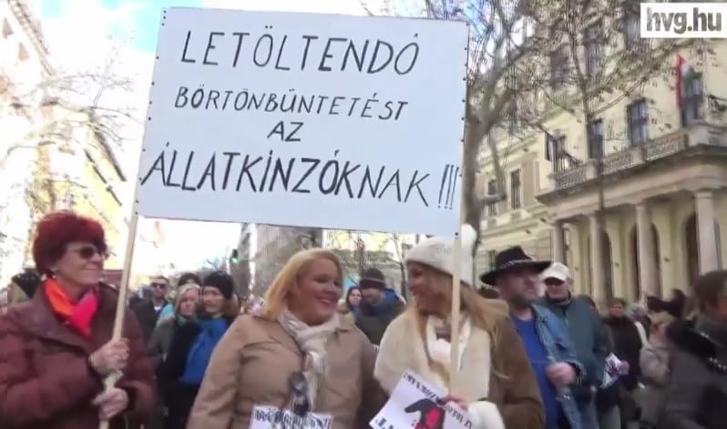 Rábízták a kutyát, de kidobta az ötödik emeletről