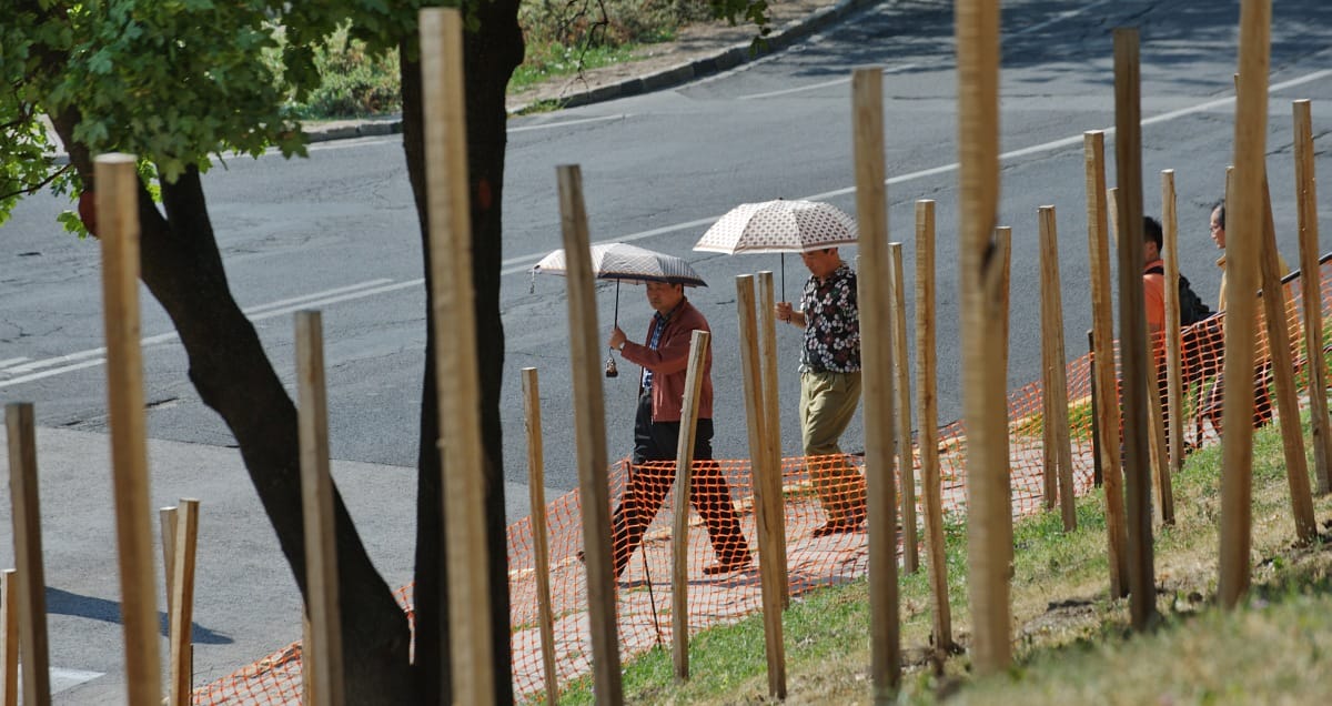 Bedőlt a Főkert 15 milliós projektje a budai várlejtőn