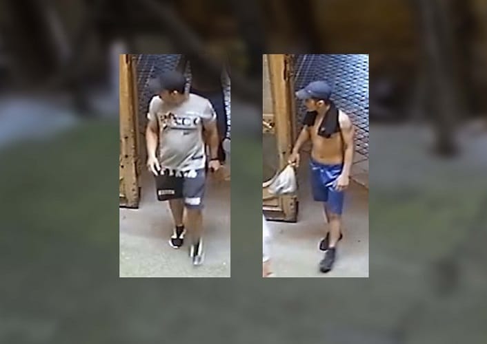Megunhatták a sétát, a bérház udvaráról loptak két biciklit - videó