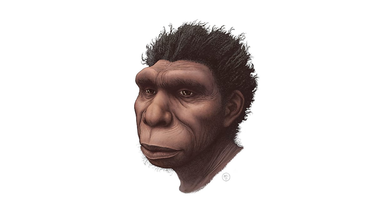 Ízlelgesse csak a nevet: Homo bodoensis – ő volt a közvetlen elődünk