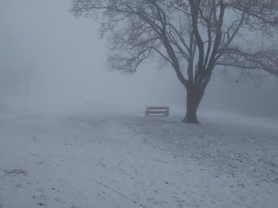 Megteltek a parkolók a Normafánál