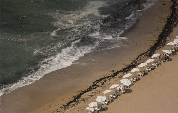 Tragikus mentés egy strandon: 11 ember megfulladt Egyiptomban