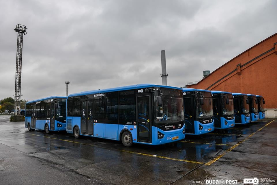 Majdnem teljes már az új fővárosi midibusz-flotta – fotók