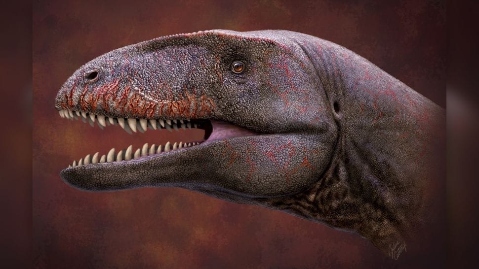 Azonosítottak japán őslénykutatók a T-rex elődjét