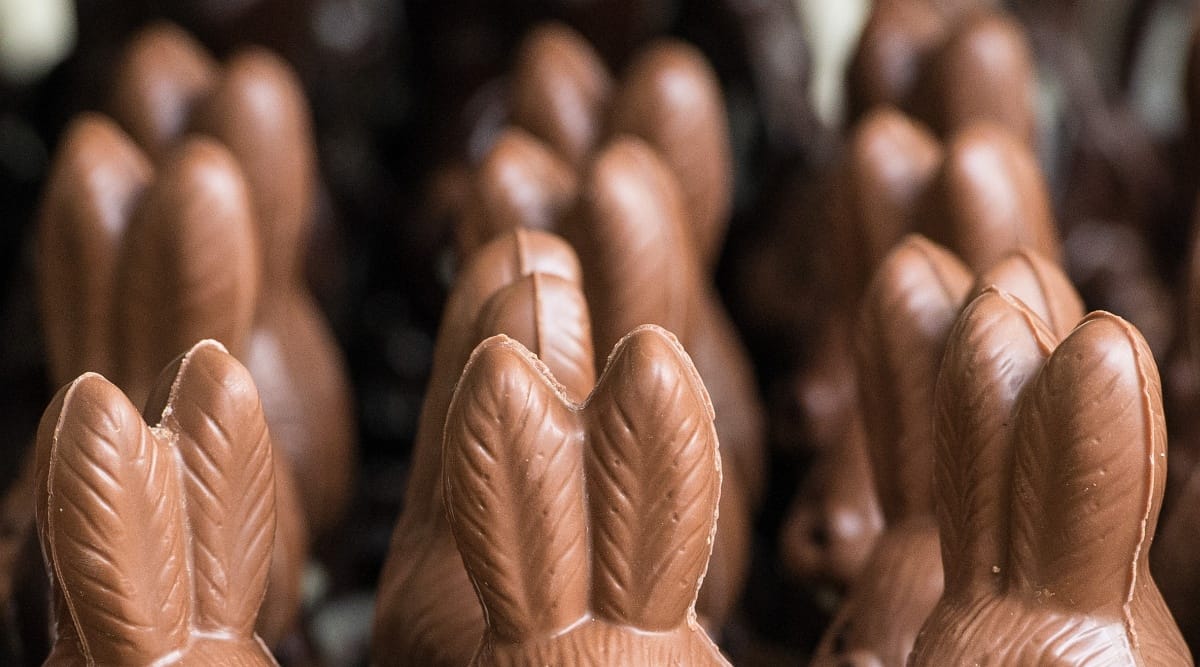 Taláros nyuszi: 10 ezer forint sonkapénzt kapnak a bírók