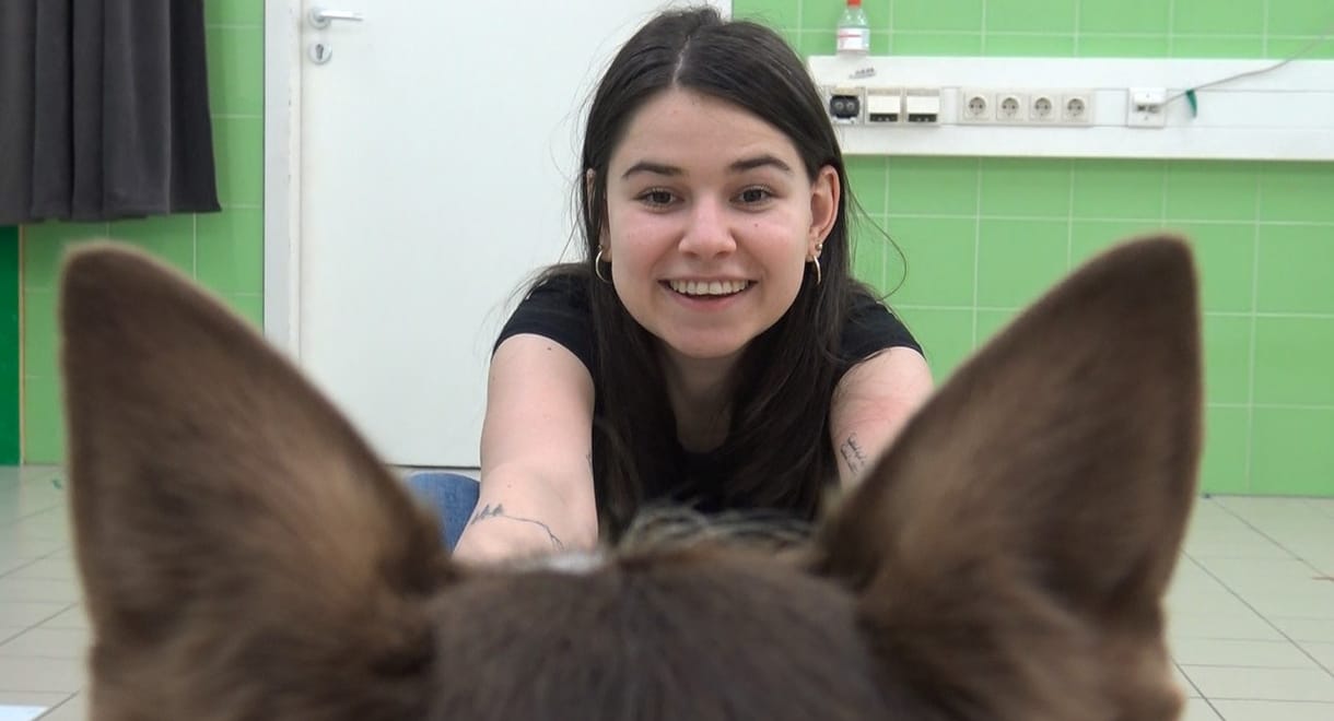 A hír igaz: a kutyának elég, ha csak meghallja a gazdáját
