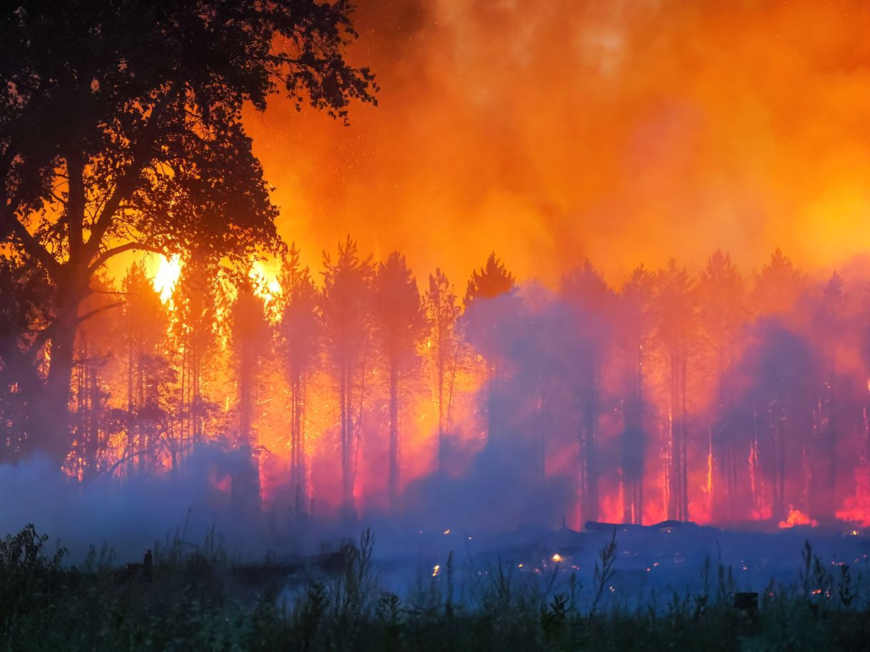 Meghalt egy ember a Soltszentimrénél tomboló tűzben