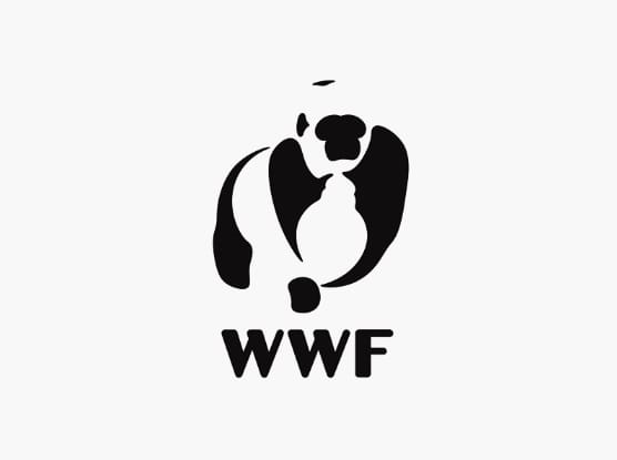 Átalakul a panda a WWF-nek tervezett mozgó logóban