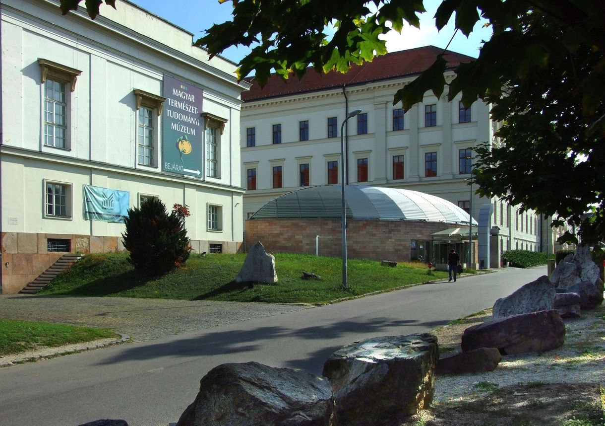Csendes összeomlás: a munkatársak negyede távozhat a Természettudományi Múzeumból