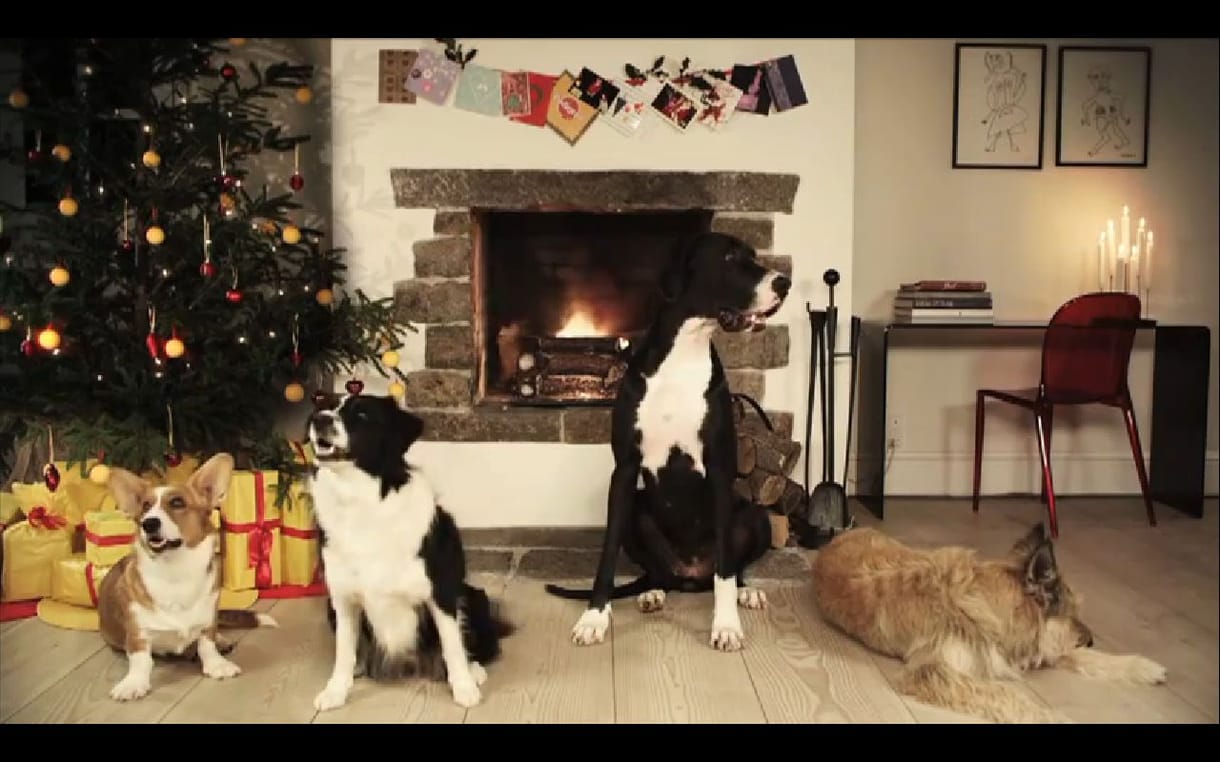 Karácsonyi vakkantások - Jingle bells kutyahangra