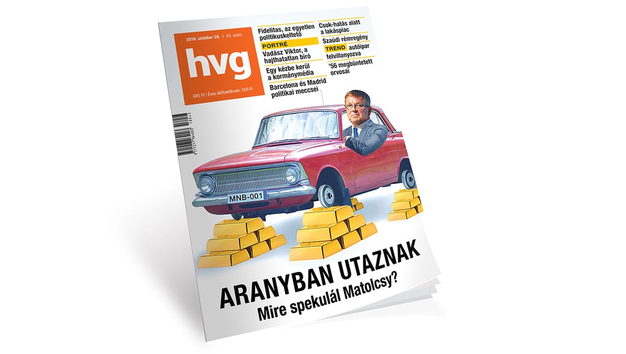 Kocsis Györgyi: Arany élet