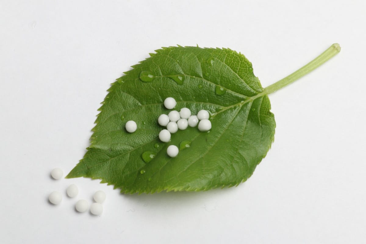 Az MTA beleállt a harcba: kőkemény szigor vár a homeopátiás szerekre