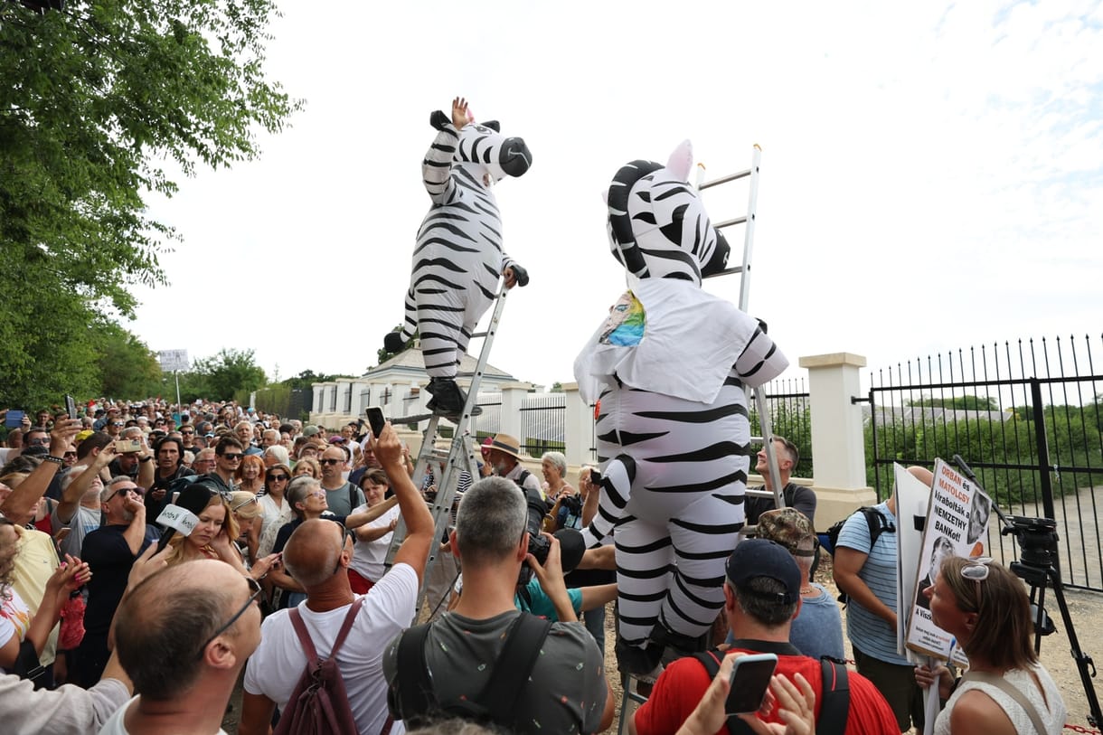 Szafari Hatvanpusztán: Belestünk az Orbán-farmra – videó