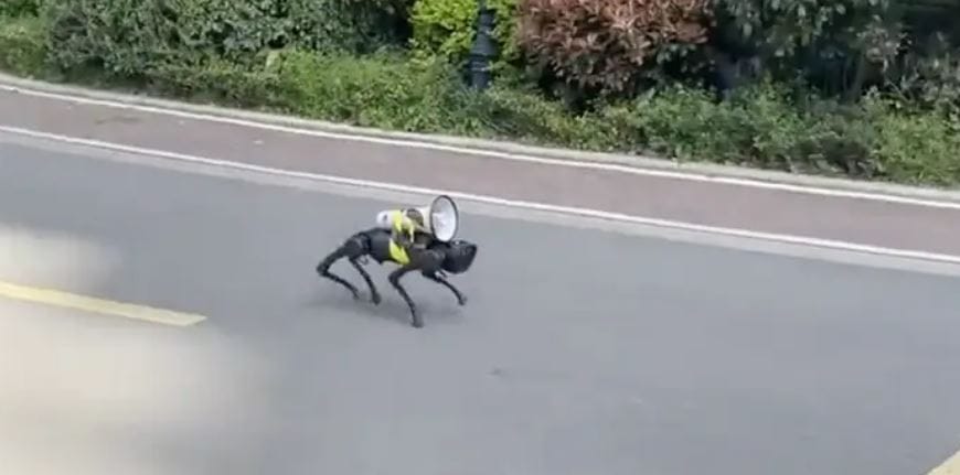 Egy robotkutya kiabál Sanghaj utcáin – videó
