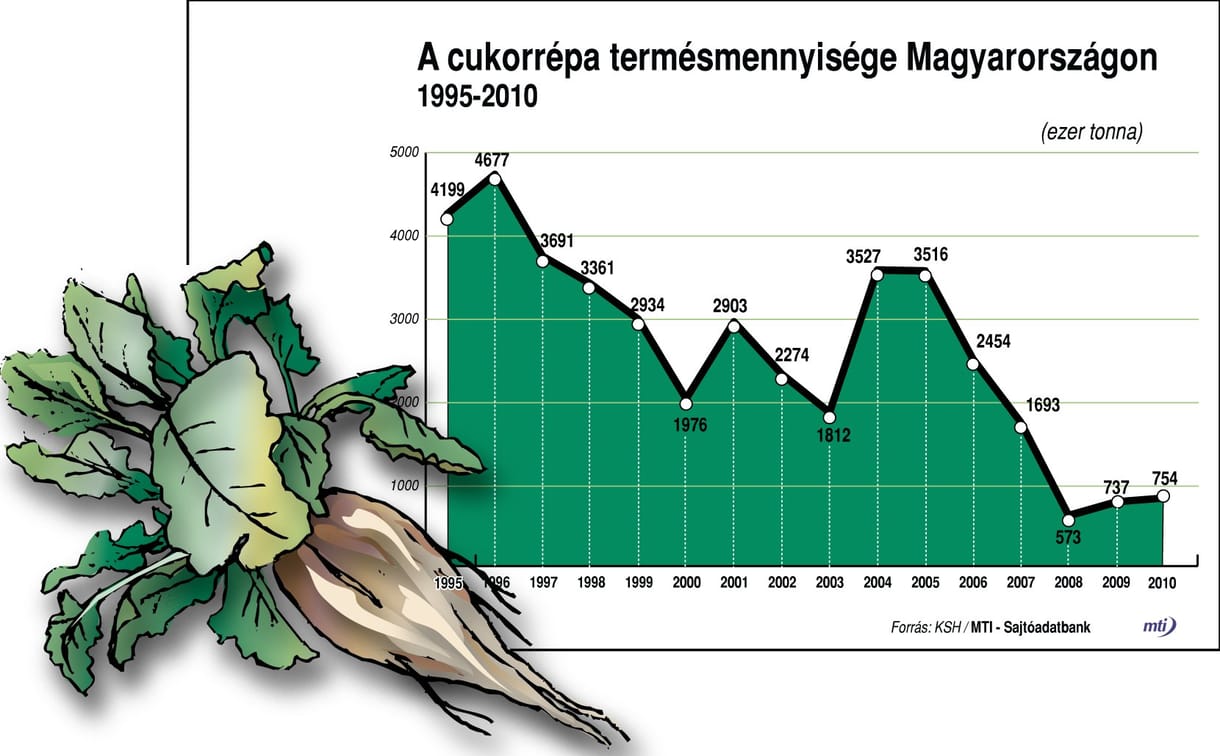 VG: brazil nádcukorral enyhítik a magyar cukorhiányt
