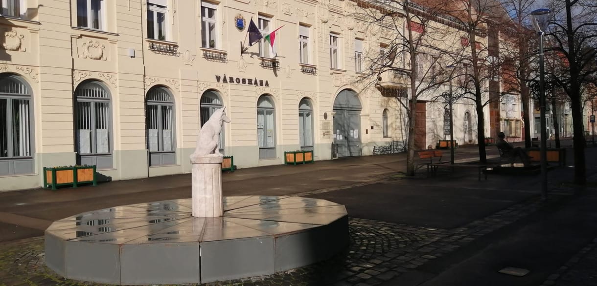 Elektromos sokkoló is volt a gyöngyösi ámokfutónál