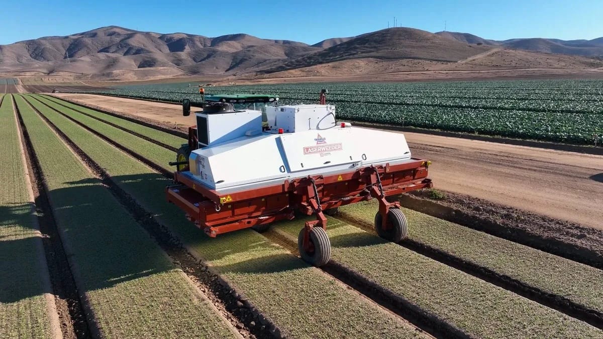 Leszámolhat a gyomirtókkal az új robot, lézerrel pusztítja el a gyomnövényeket – videó