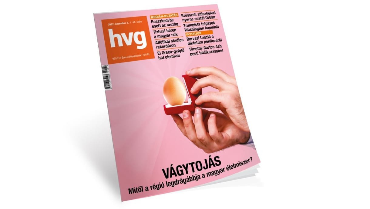 Kocsis Györgyi: Fejvesztés