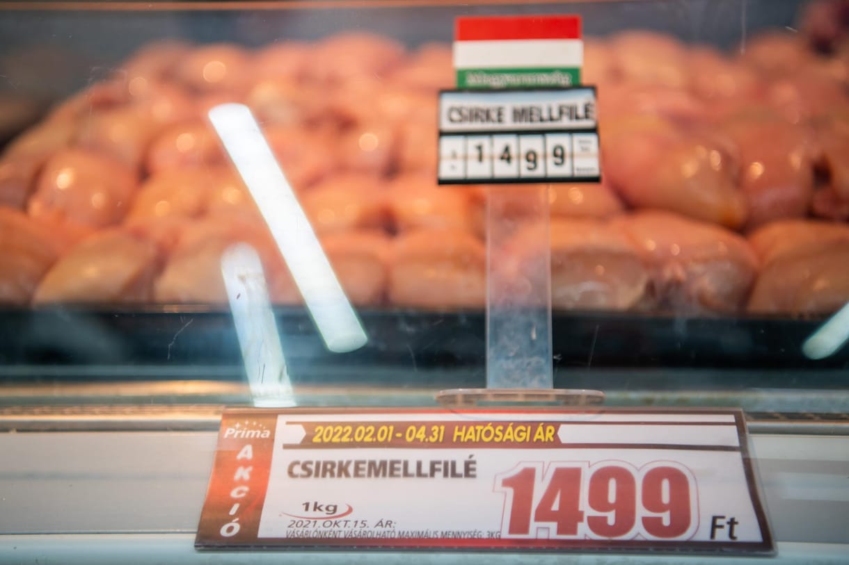 Azonnali segítségre van szükségük a csirketartóknak az árstop meghosszabbítása miatt
