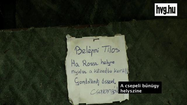Csepeli hajléktalanok: „nem tudnak minket az erdőből kiűzni” – videó