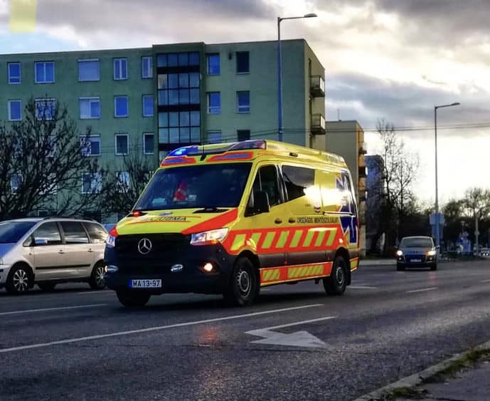 Gyerekeik szeme láttára, viperával vertek véresre egy házaspárt a szombathelyi majálison