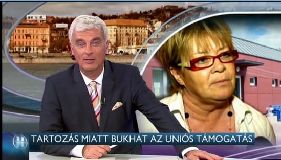 RTL Klub: Fodor Ibolya egyesülete miatt bukhat a 100 milliós támogatás
